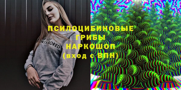 spice Алексеевка